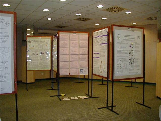 ESSPPMM 2006 #017 - detail