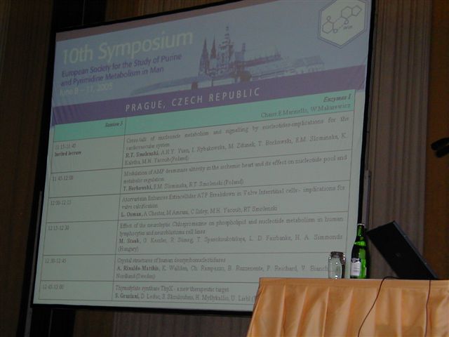 ESSPPMM 2006 #022 - detail