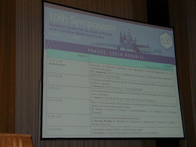 ESSPPMM 2006 #023 - detail