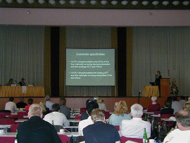 ESSPPMM 2006 #033 - detail
